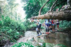 BIB: 
                            <button type="button" onclick="openModal(25456005)" class="btn btn-primary btn-sm float-right btn-popup" data-toggle="modal" data-target=".modal-high-quality">
                        <i class="fas fa-shopping-cart"></i> Add to Cart
                    </button>
                                            <button type="button" onclick="isThisMe(25456005, true)" class="btn btn-success btn-sm float-right btn-popup btn-isme hidden" data-toggle="tooltip" data-placement="bottom" title="นี่คือรูปของคุณใช่ไหม คลิกที่นี่เพื่อเอาเข้าอัลบั้ม">
                        <i class="fas fa-plus"></i> Add to album
                    </button>
                    <button type="button" onclick="isThisMe(25456005, false)" class="btn btn-warning btn-sm float-right btn-popup btn-isnotme hidden">
                        <i class="fas fa-ban"></i> Remove from album
                    </button>